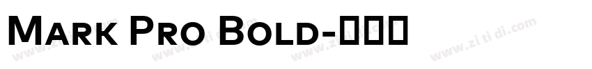Mark Pro Bold字体转换